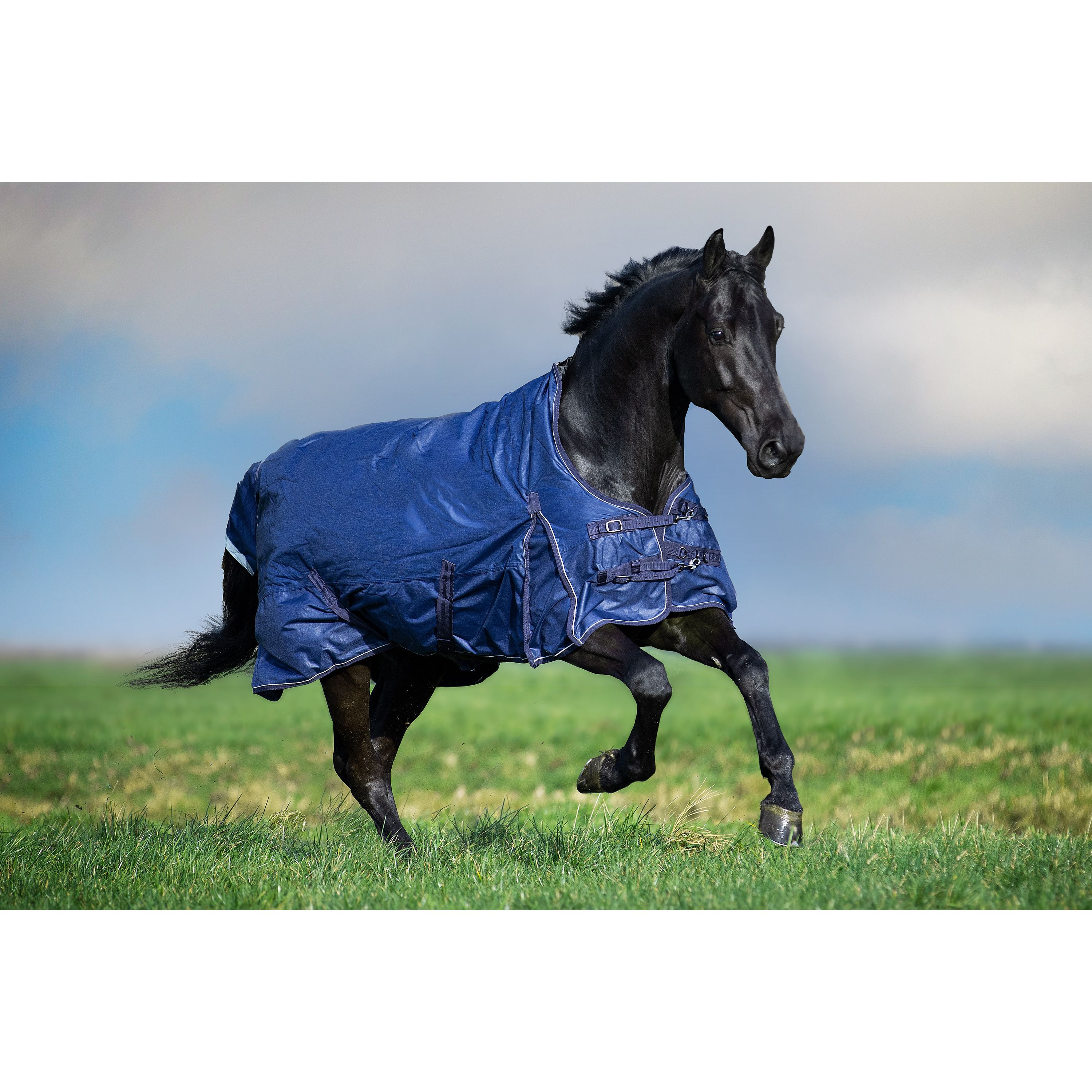 Imperial Riding | 300g Outdoordecke Super Dry blau Navy 125 cm