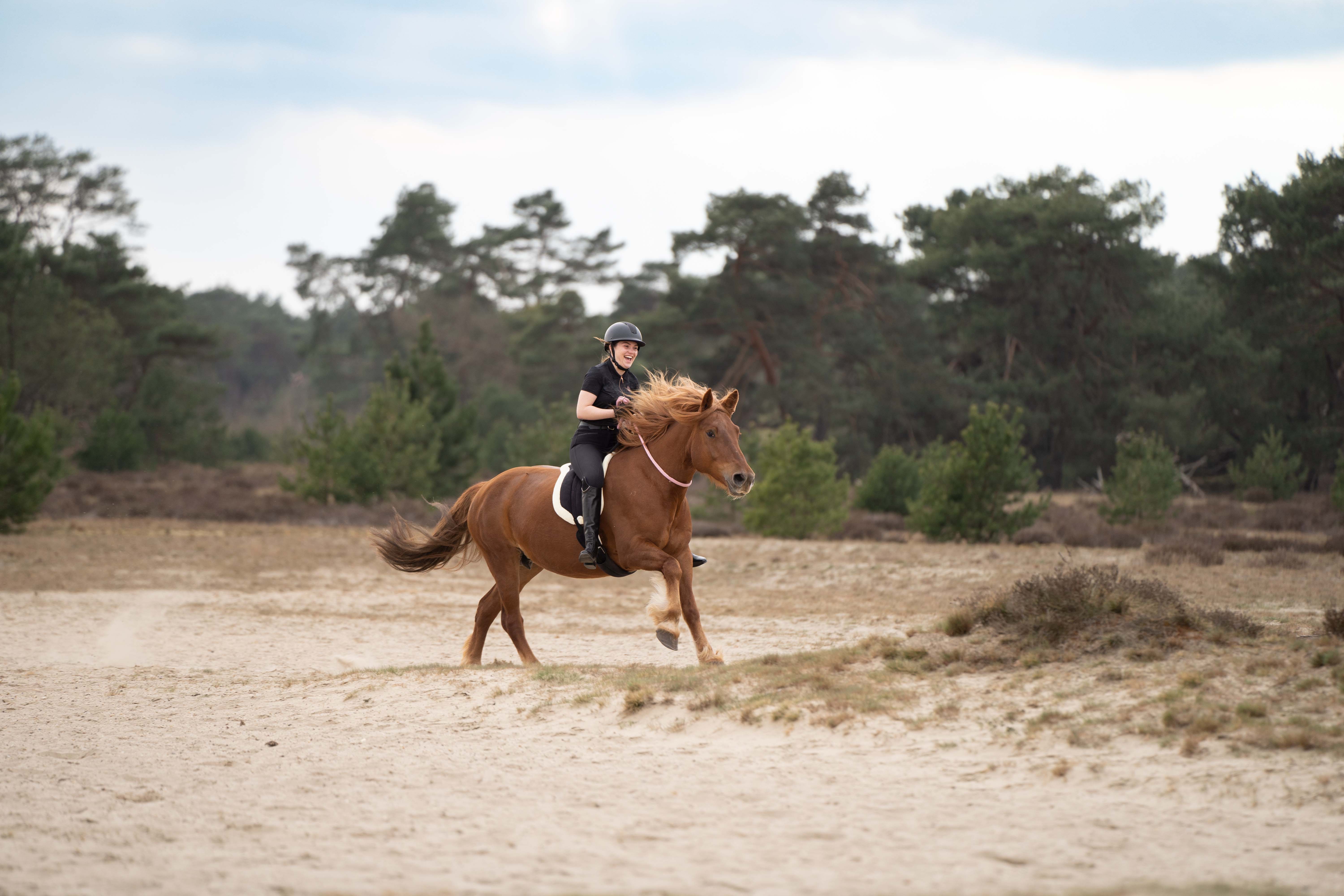 Imperial Riding | Bareback Pad Free Ride| Pony | Navy