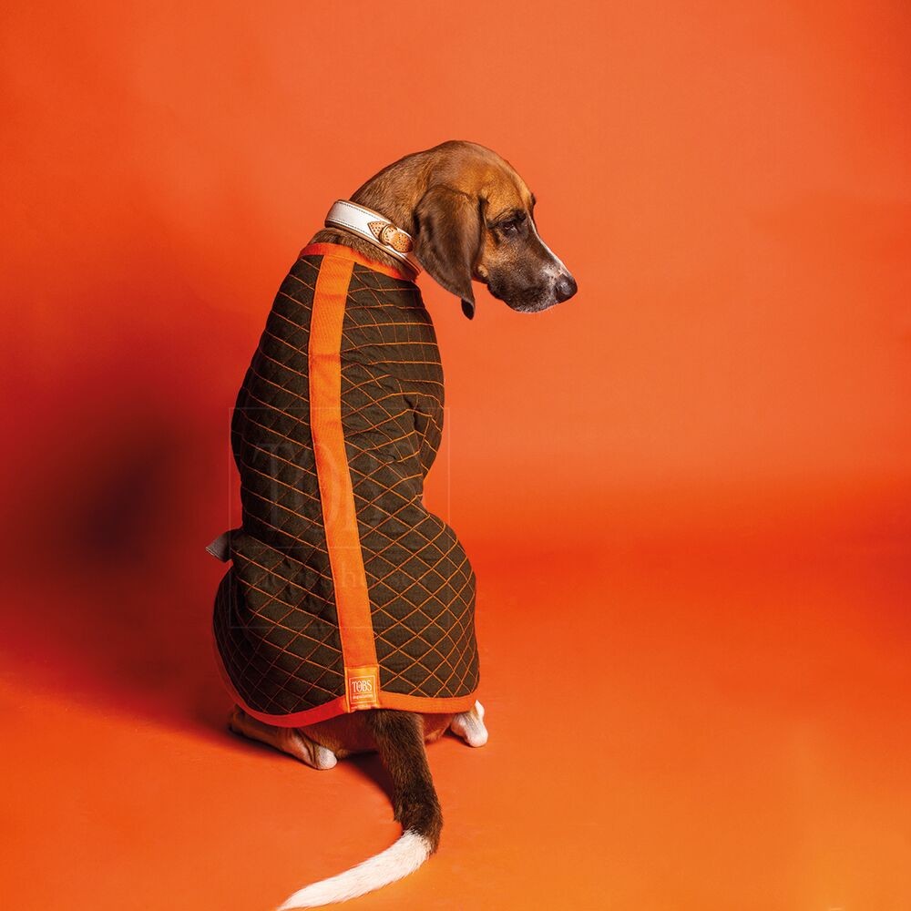 TOBS | Hundemantel Dog Coat Grün Rückenlänge 49cm Tiefe 26,5cm