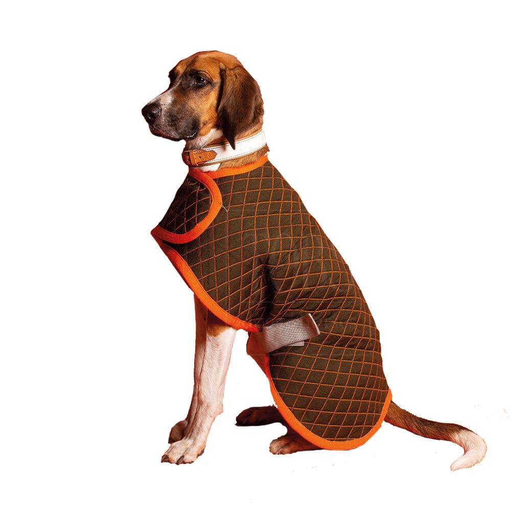 TOBS | Hundemantel Dog Coat Grün Rückenlänge 49cm Tiefe 26,5cm