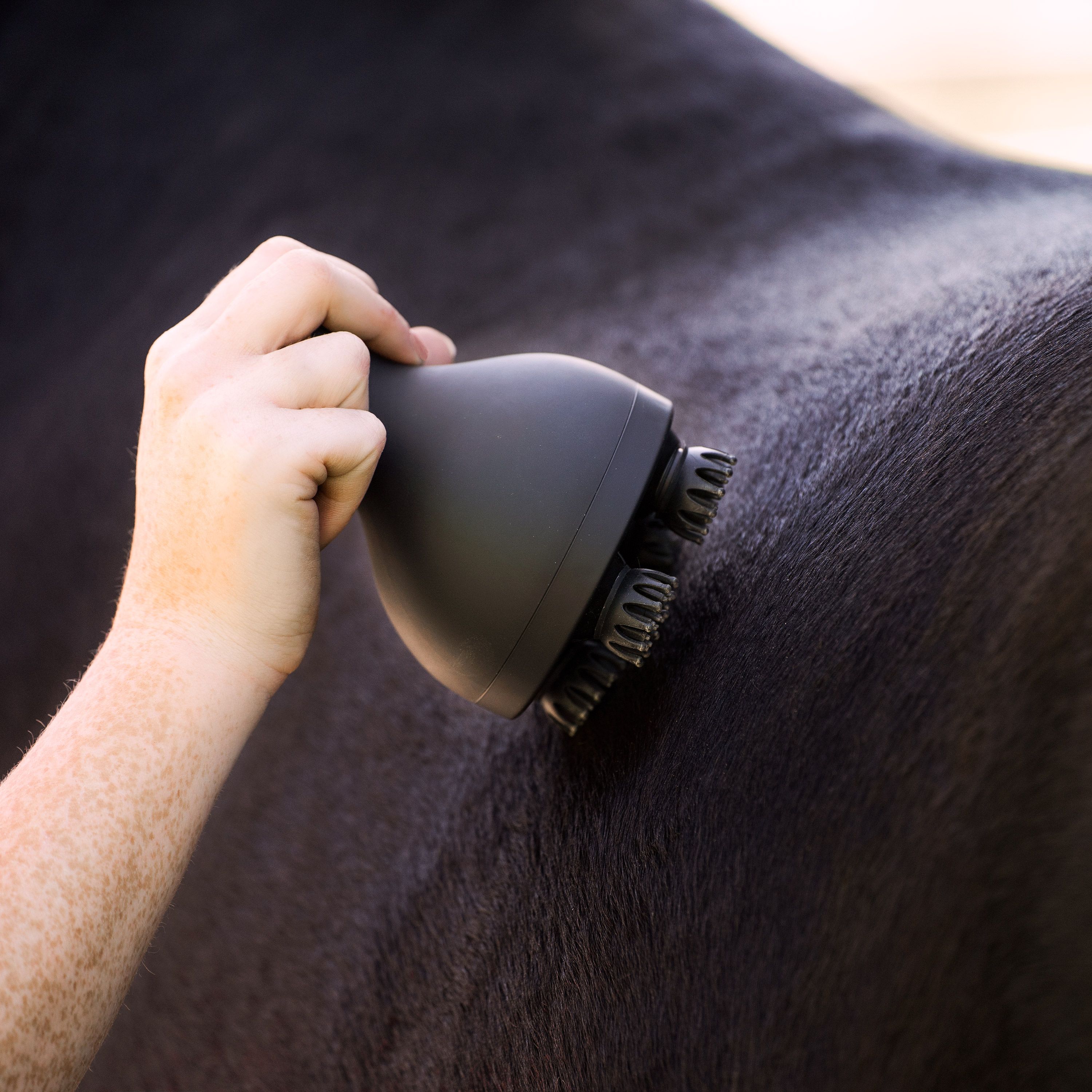 Imperial Riding | Grooming & Relaxation Brush Volta | Schwarz