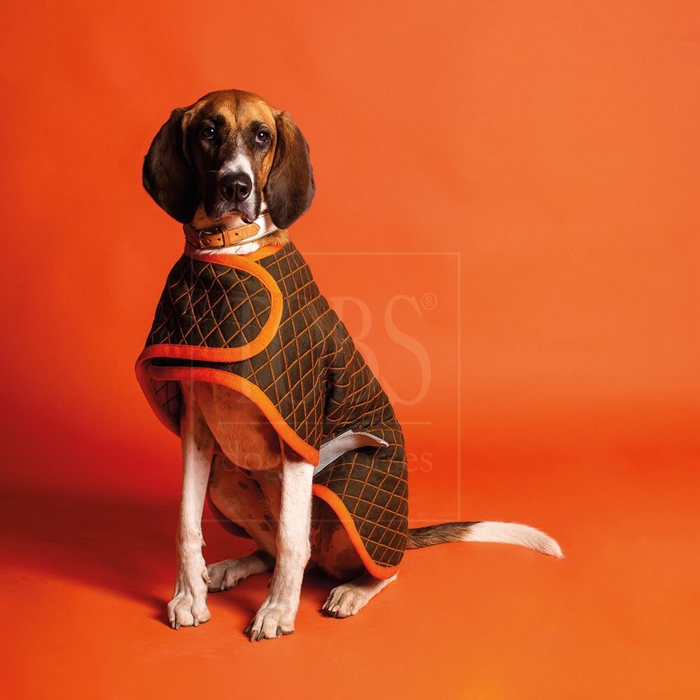 TOBS | Hundemantel Dog Coat Grün Rückenlänge 49cm Tiefe 26,5cm