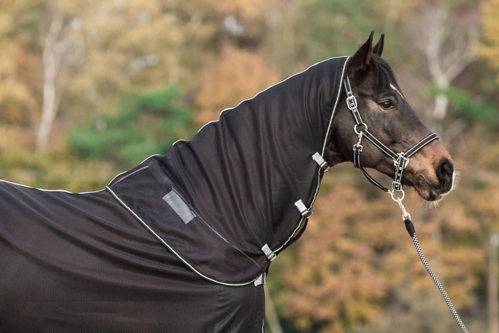 Equine-Microtec | Halsteil zur Fliegen- (Ausreit)decke 125cm/135cm